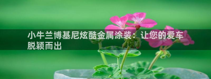 鲁能美高梅别墅物业费