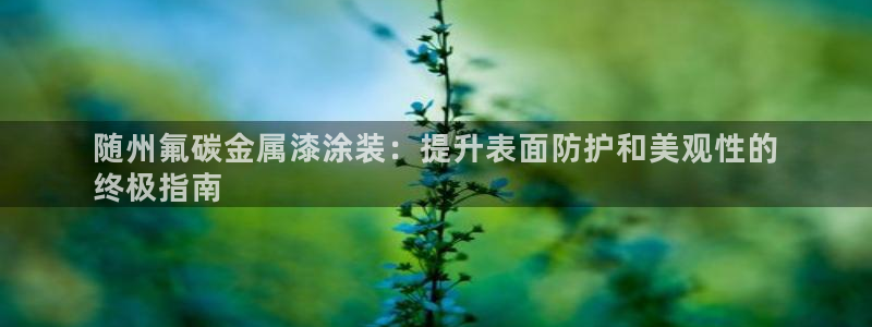 美高梅会员卡怎么用