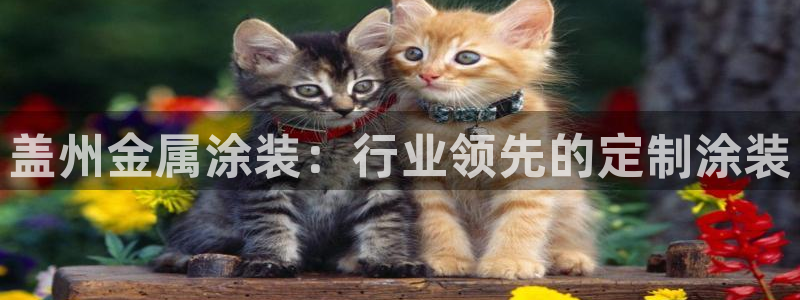 美高梅mgm信誉第一