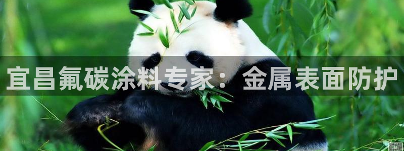 美高梅在澳门有几家分公司
