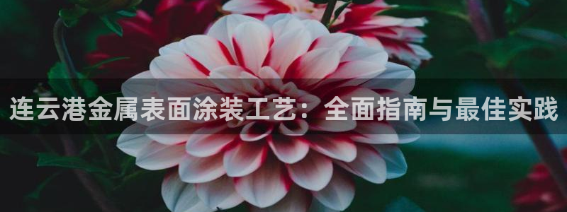 美狮美高梅酒店开业