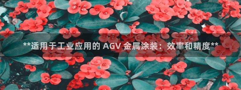 美高梅会员卡升级