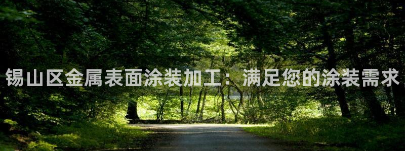 美高梅狮王卡值多少钱