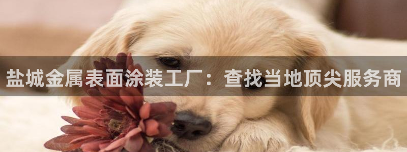 美高梅酒店何超琼