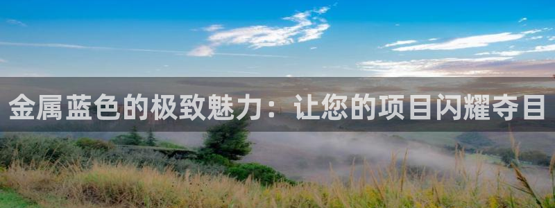 美高梅何超琼年薪
