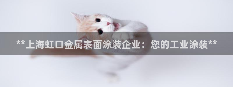 美高梅游戏安卓手机版官网