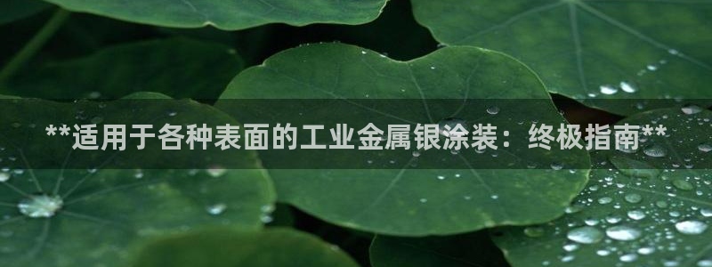 美高梅年卡