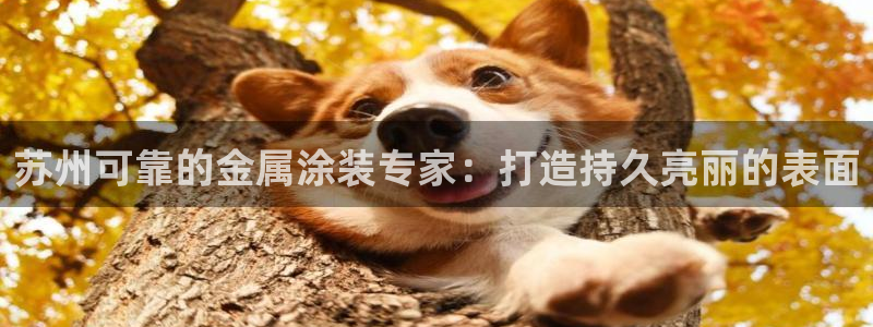 美狮美高梅酒店攻略