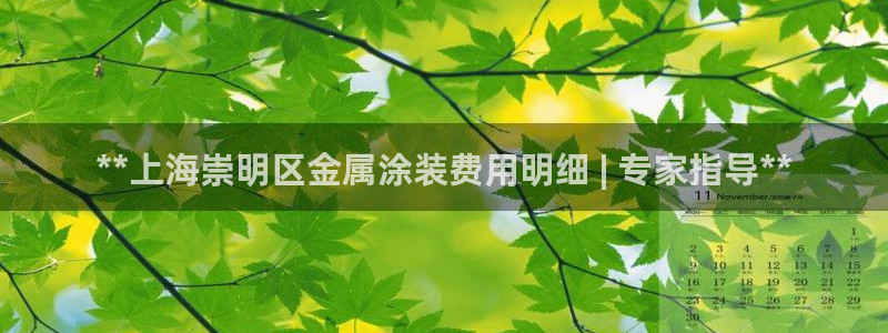 美高梅酒店是谁的