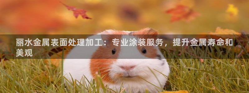 美高梅公司的合信平台怎么样