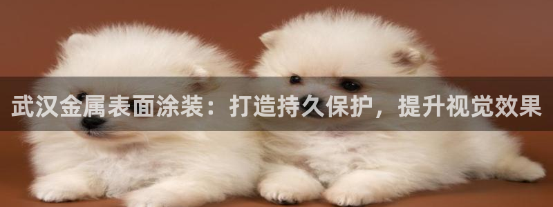 美高梅会员卡等级怎么分