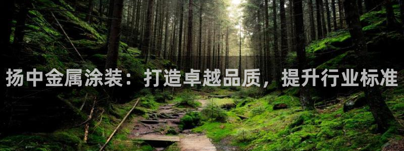 美高梅酒店特色