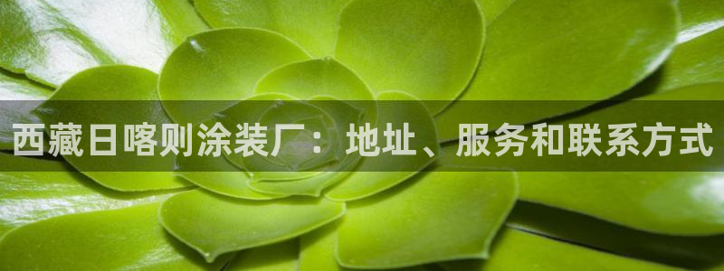 美高梅国际俱乐部是做什么的