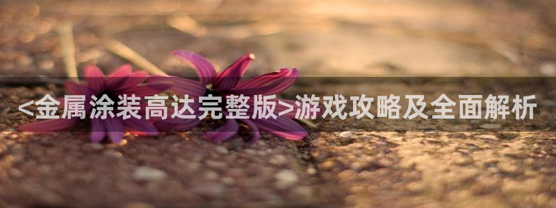 美高梅网络科技有限公司
