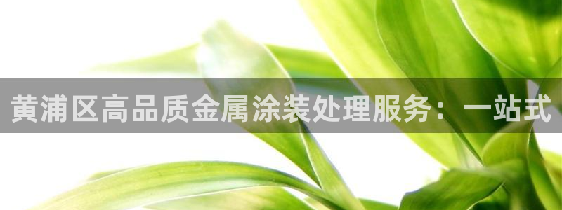 美高梅音乐会公开售票吗