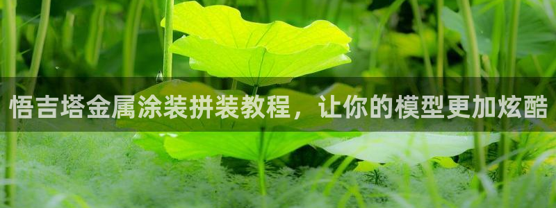 美高梅投资是真的吗