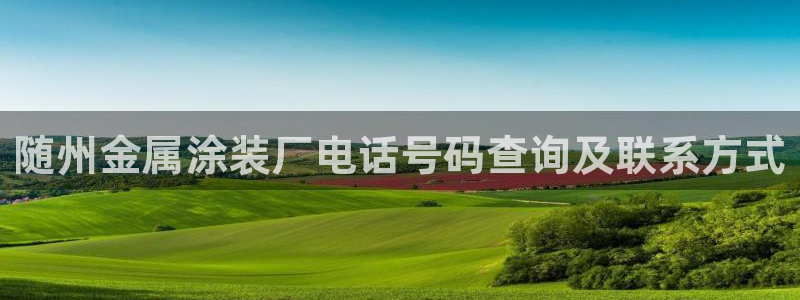 美狮美高梅酒店设计师