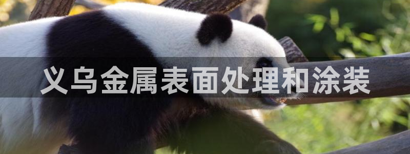 美高梅图片手机屏保