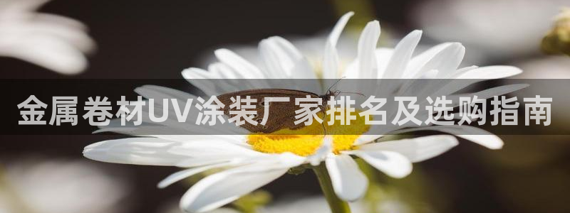 美狮美高梅酒店造价多少