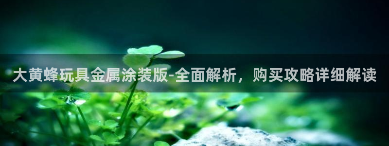 美高梅酒店品牌介绍