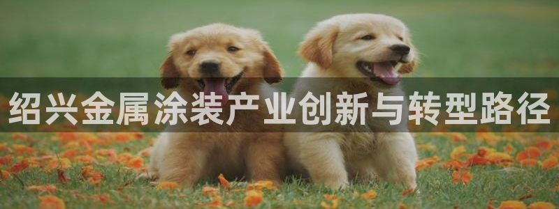美高梅 何超琼
