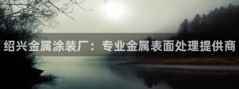 美高梅狮子logo