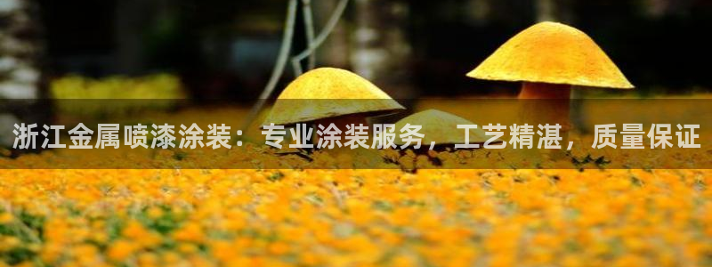 美高梅大酒店图片