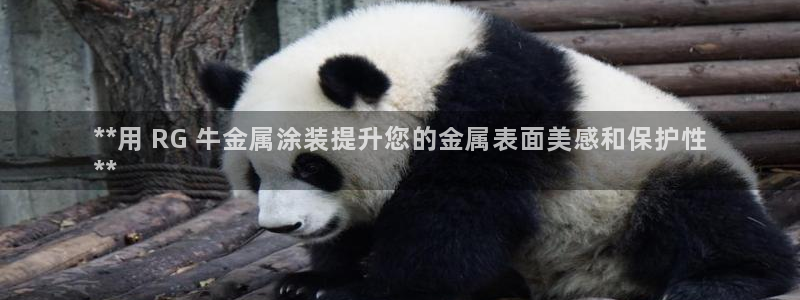 美狮美高梅 早餐