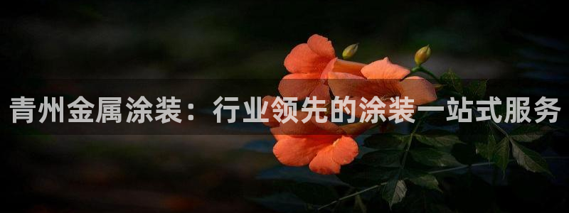 美高梅大酒店澳门