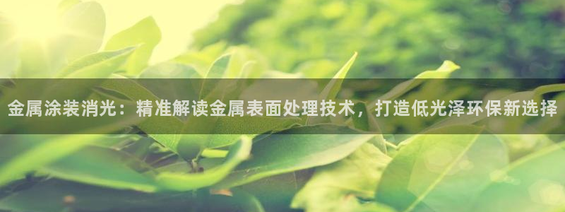 美高梅酒店档次