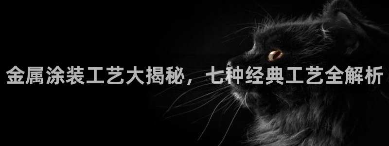 美高梅酒店ka秀价格