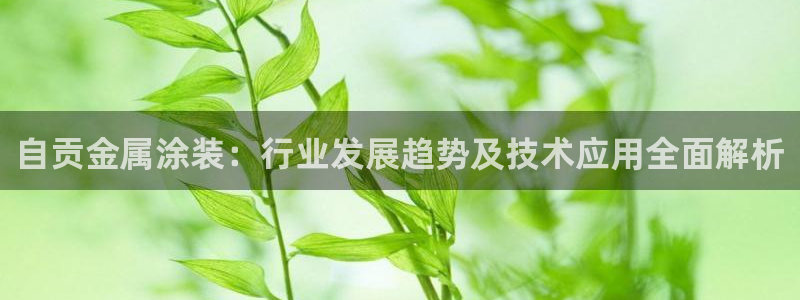 美高梅酒店的由来