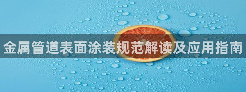 美高梅中国集团简介