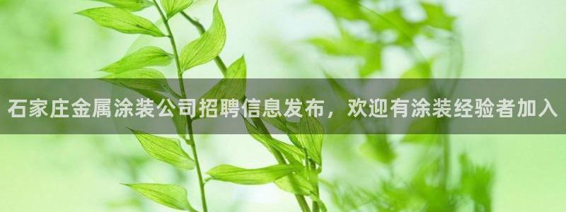 美狮美高梅酒店环境