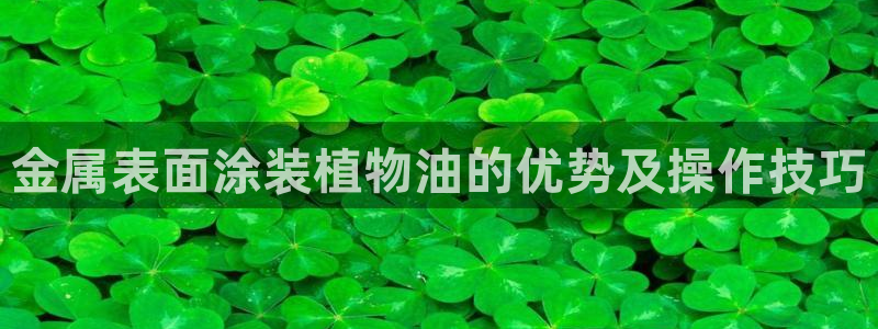 美高梅物业怎么样