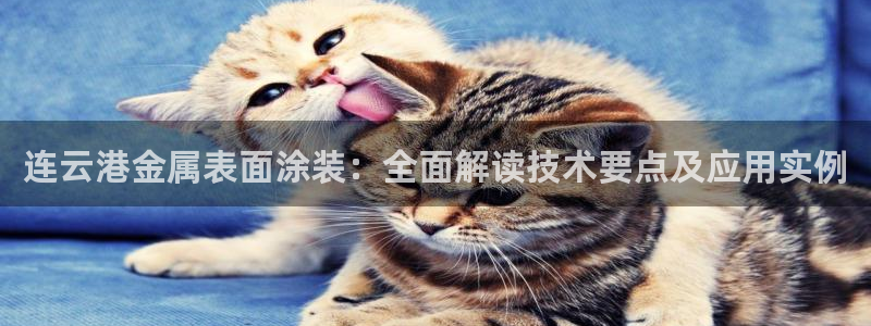 美高梅矿泉水多少钱一瓶