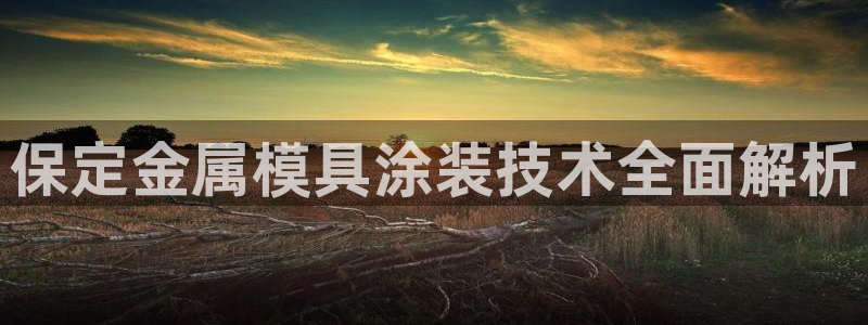 美高梅金狮卡是什么卡