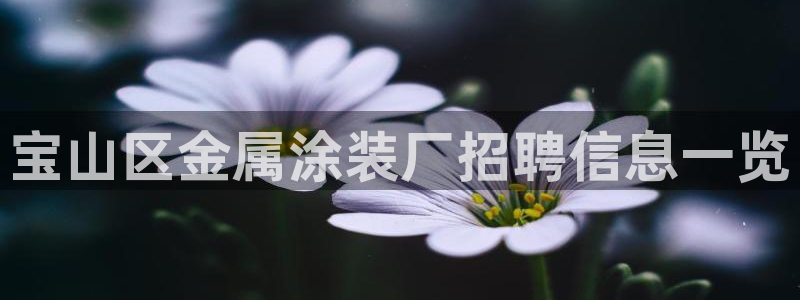 美高梅酒店和丽思卡尔顿哪个好