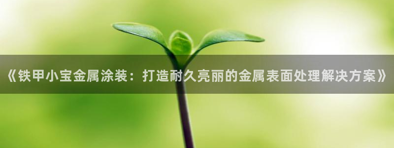 澳门的美高梅是谁的