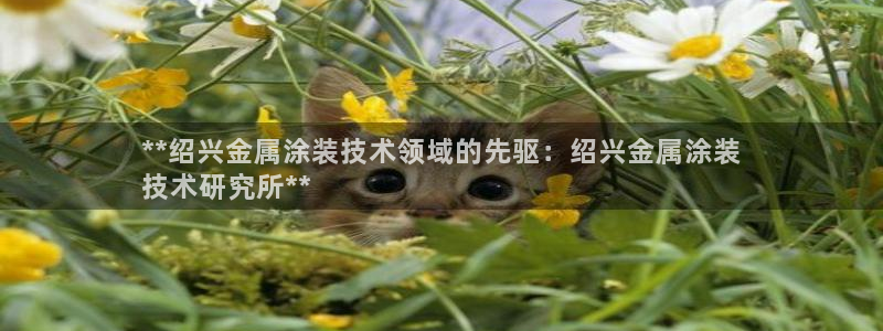 美高梅酒店可以赶海吗