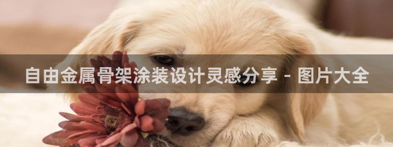 美高梅营业时间