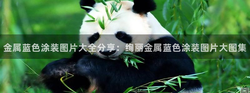 美狮美高梅酒店美艺大堂