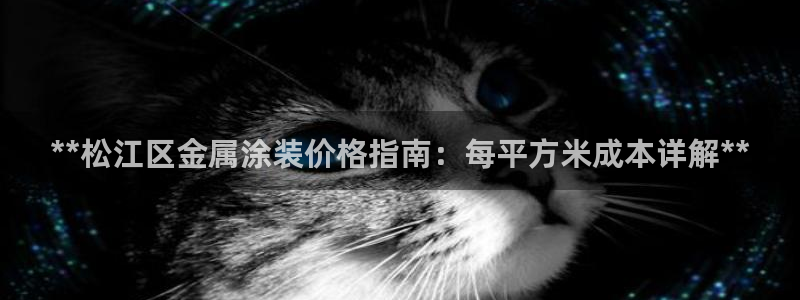 美高梅空气炸锅怎么样好用吗