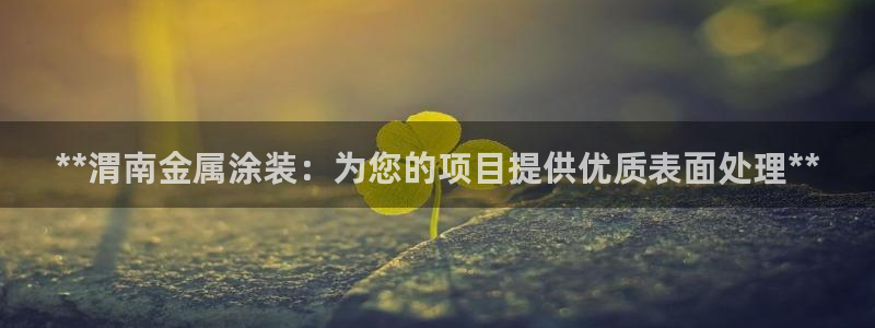 美高梅老板何超琼