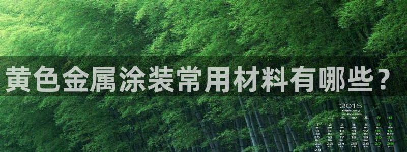 美高梅软件开发创始人