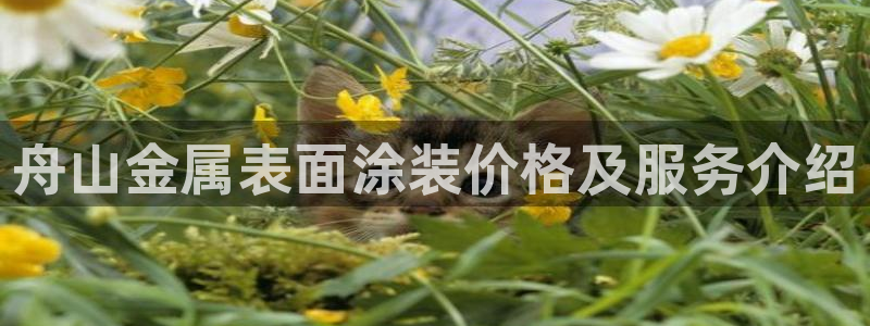 美高梅大酒店一共多少层