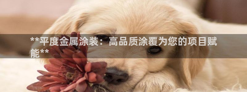 美高梅剧院官网